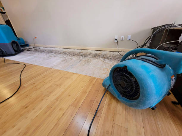 Professional Ceiling Water Damage Repair technician working in Fentress, TX
